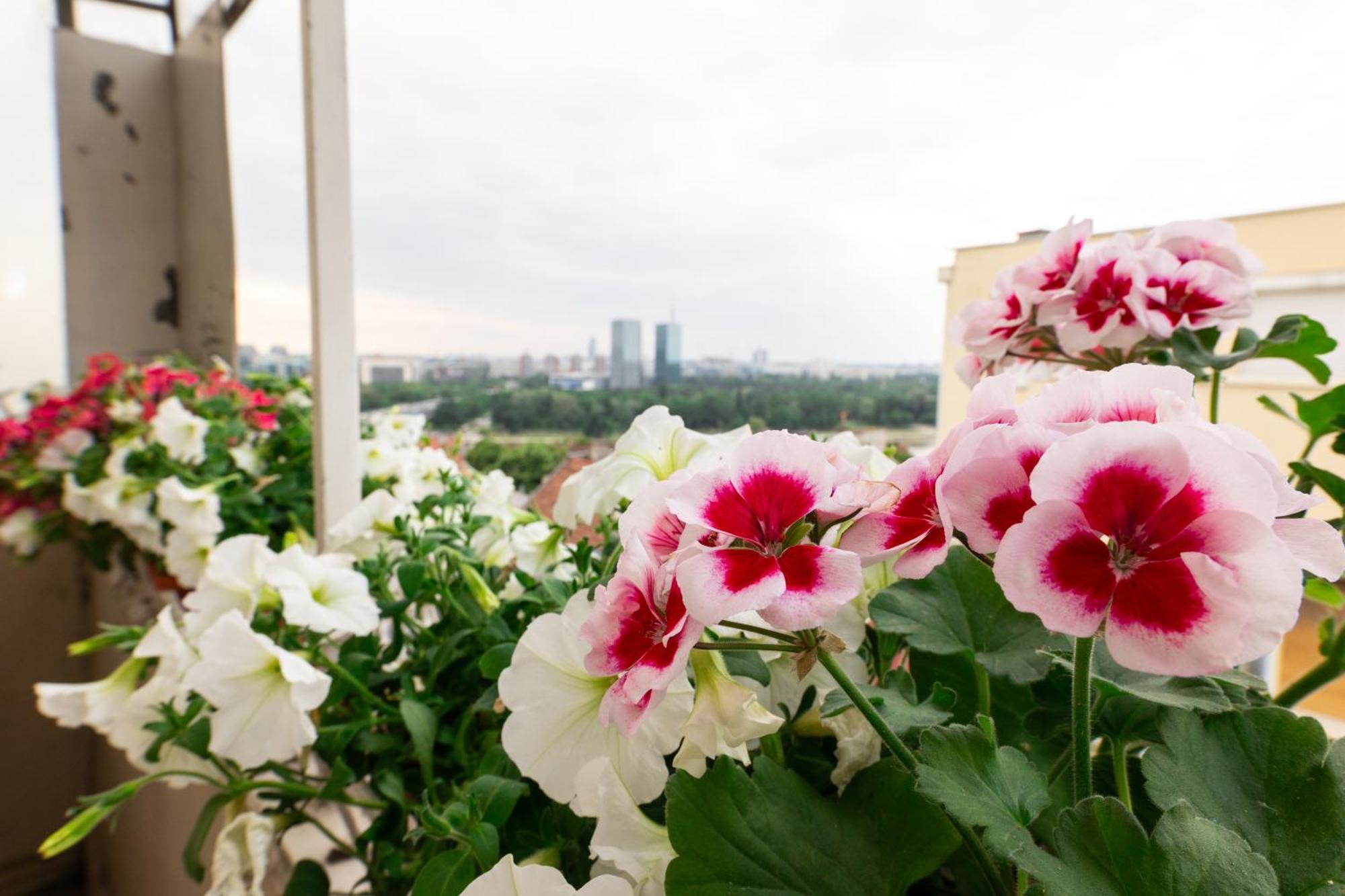 Ugi House - City Center Belgrad Zewnętrze zdjęcie